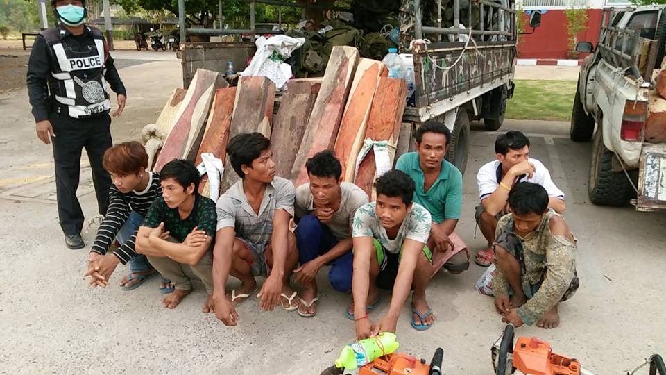  ป่าไม้อุทยานแห่งชาติเขาใหญ่ ตำรวจ ทหารร่วมจับกุม ผู้ลักรอบตัดไม้พยุง ผู้ต้องหา 9 ราย ของกลางไม้พยุง 2 คิว