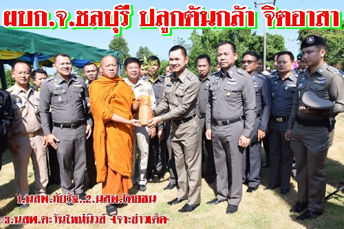 พล.ต.ต.สมประสงค์ เย็นท้วม ผู้บังคับการตำรวจภูธรจังหวัดชลบุรี เป็นประธานเปิดโครงการต้นกล้าจิตอาสา พลิกฟื้นคืนป่าสู่แผ่นดิน จว.ชลบุรี