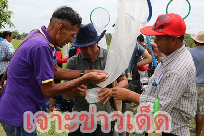 ปราจีนบุรี-กระทิงแดงเดินหน้าต่อพาชาวนาบางแตนปราจีน เรียนรู้เกษตรอินทรีย์จากครูตัวจริง กระทิงแดงเดินหน้าต่อเนื่อง หลังลงพื้นที่ชวนชาวนาในพื้นที่รอบ