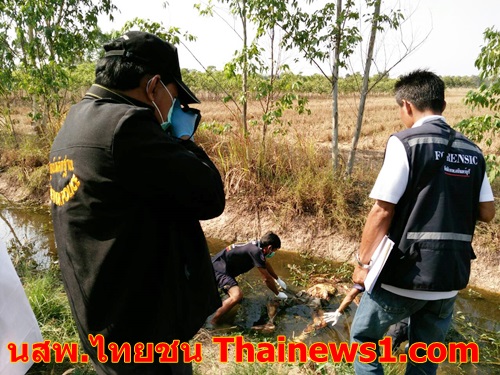 ปราจีนบุรี-หนุ่มลูกจ้างตัดหญ้าพบศพสาวนิรนามถูกฆ่าทิ้งศพในป่าหญ้าเนเปียร์ 