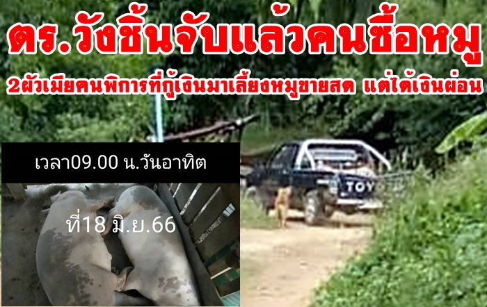 นสพ.ไทยชน #ตำรวจ.วังชิ้น จับแมน คนขายหมู.ใครยังไม่ได้เงินมาแจ้งความเพิ่มเติม