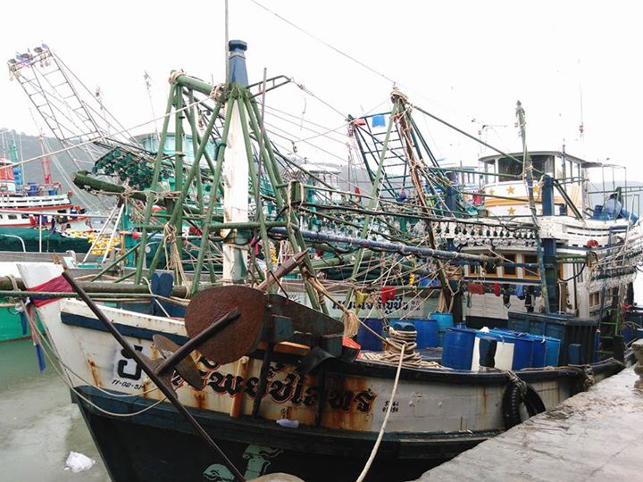 เรือประมง22จังหวัดเตรียมหยุดออกทำการประมงในวันที่1กค.58